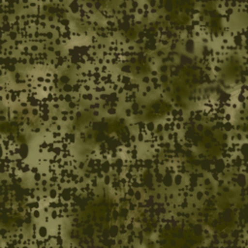 Sniper Veil camo swatch from Modern Warfare 4